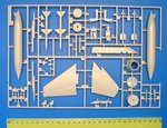 1_hasP08_4.jpg
