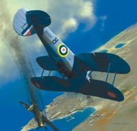 Gloster Sea Gladiator - Angielski Myliwiec - Image 1