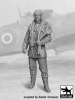 RAF Fighter pilot 1940-45 N1 - Image 1