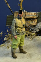 Waffen SS soldier 1, Hungary, Winter 1945 - Image 1