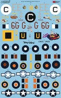 Late War Consolidated B-24 Liberator Collection Part 1 (5 schemes)