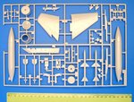 1_hasP08_3.jpg