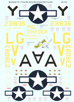 Boeing B-17 G Flying Fortress (2 schemes)
