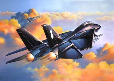 F-14A Black Tomcat - Image 1