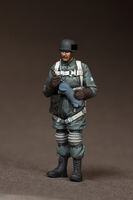Officer Fallschirmjger at the airfield