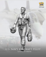 U.S. Navy Aircraft Pilot