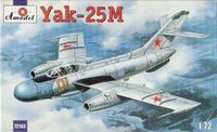 Yakovlev Yak-25 Soviet Jet Fighter (NATO Code Flashlight-A / Mandrake