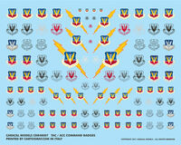 USAF Tactical Air Command (TAC) and Air Combat Command (ACC) Badges