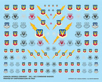 USAF Tactical Air Command (TAC) and Air Combat Command (ACC) Badges