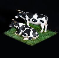 Cows - Image 1