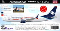Aeromexico 737 MAX