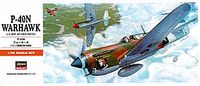P-40N Warhawk - Image 1