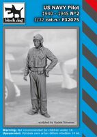 US NAVY pilot 1940-45 N2