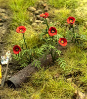 Poppies - Image 1