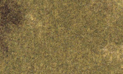 Trawa jesieni - Image 1