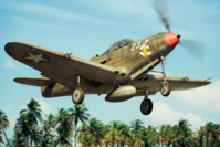 P-39 D-F-K Airacobra - Image 1