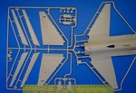 1_tam60315_17.jpg