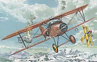 Albatros D.III (early)